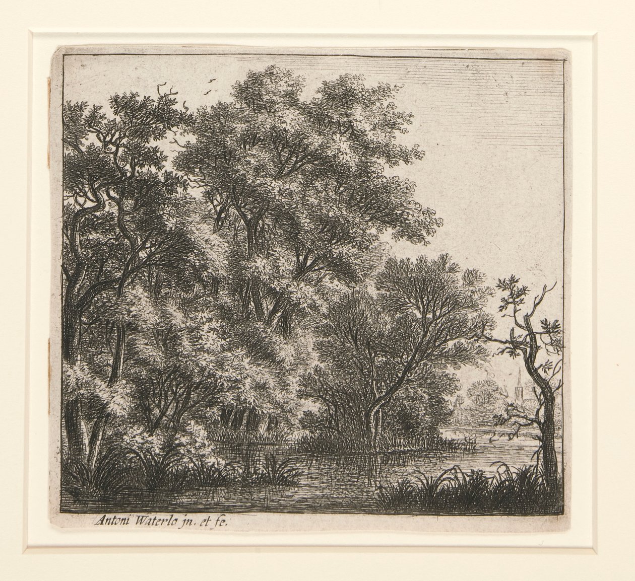 la isla boscosa de Anthonie Waterloo
