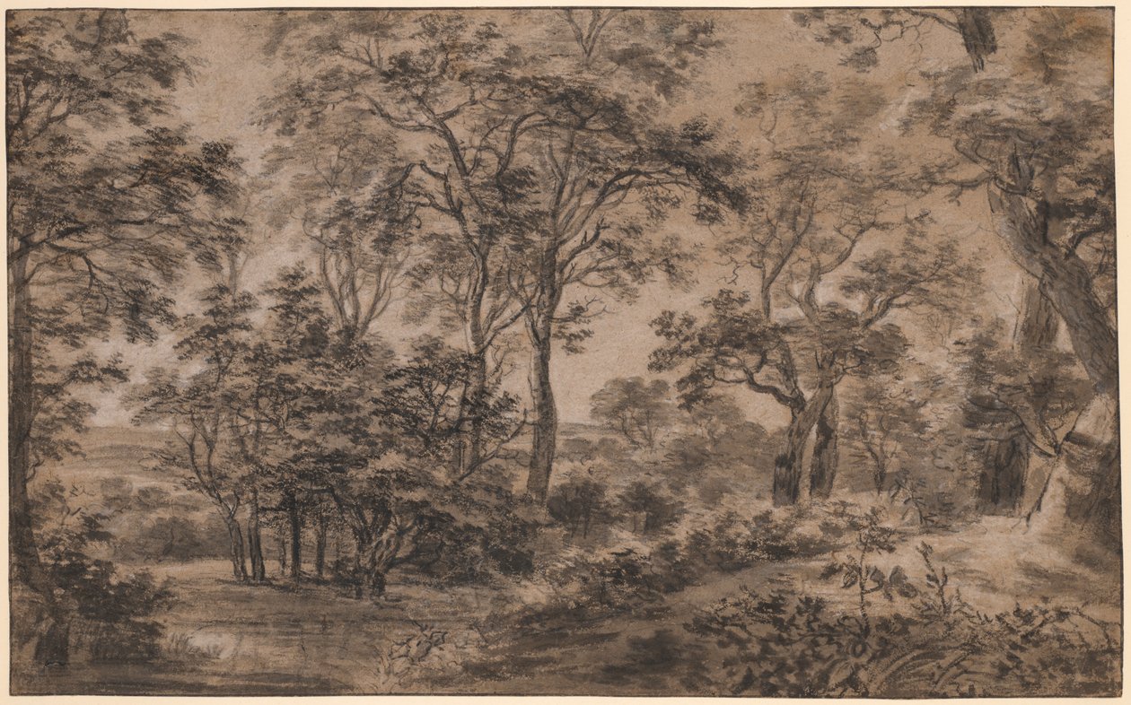 paisaje boscoso de Anthonie Waterloo