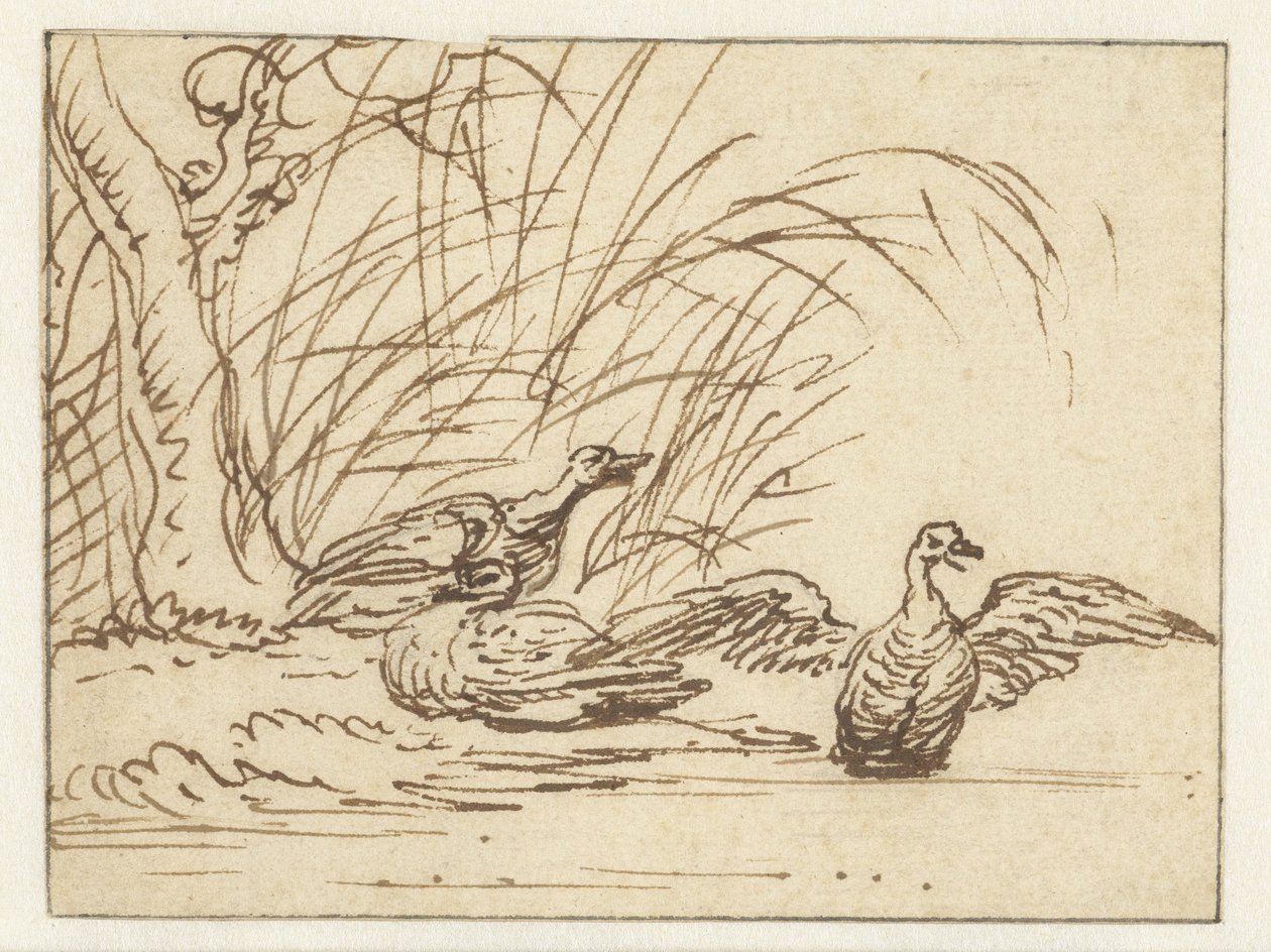 Tres patos en el paseo marítimo de Anthonie van Borssom