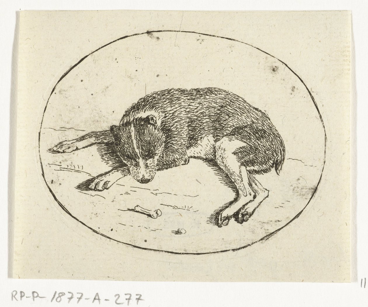 perro mentiroso de Anthonie van den Bos
