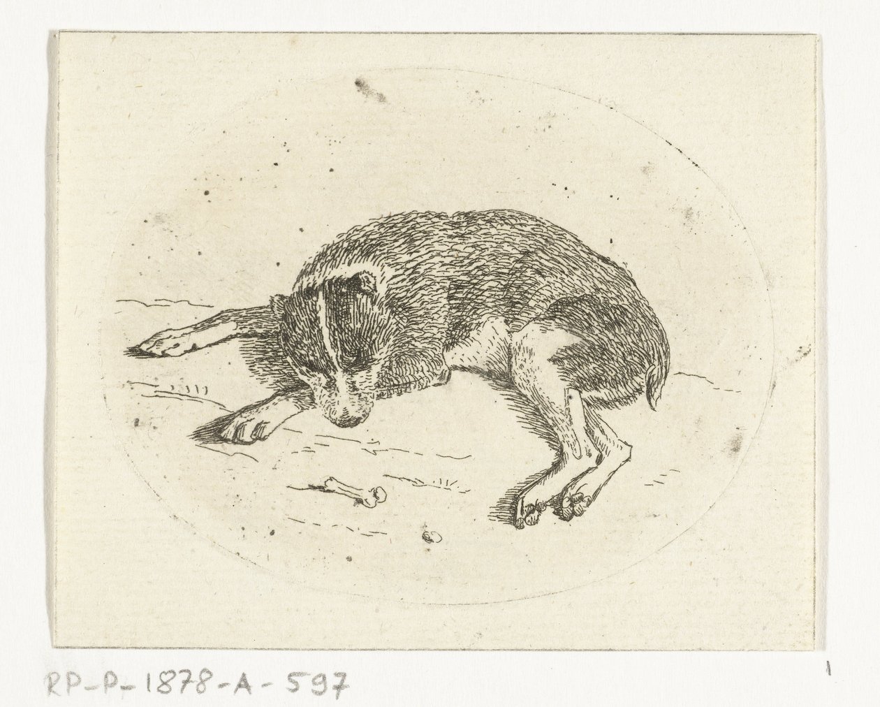 perro mentiroso de Anthonie van den Bos