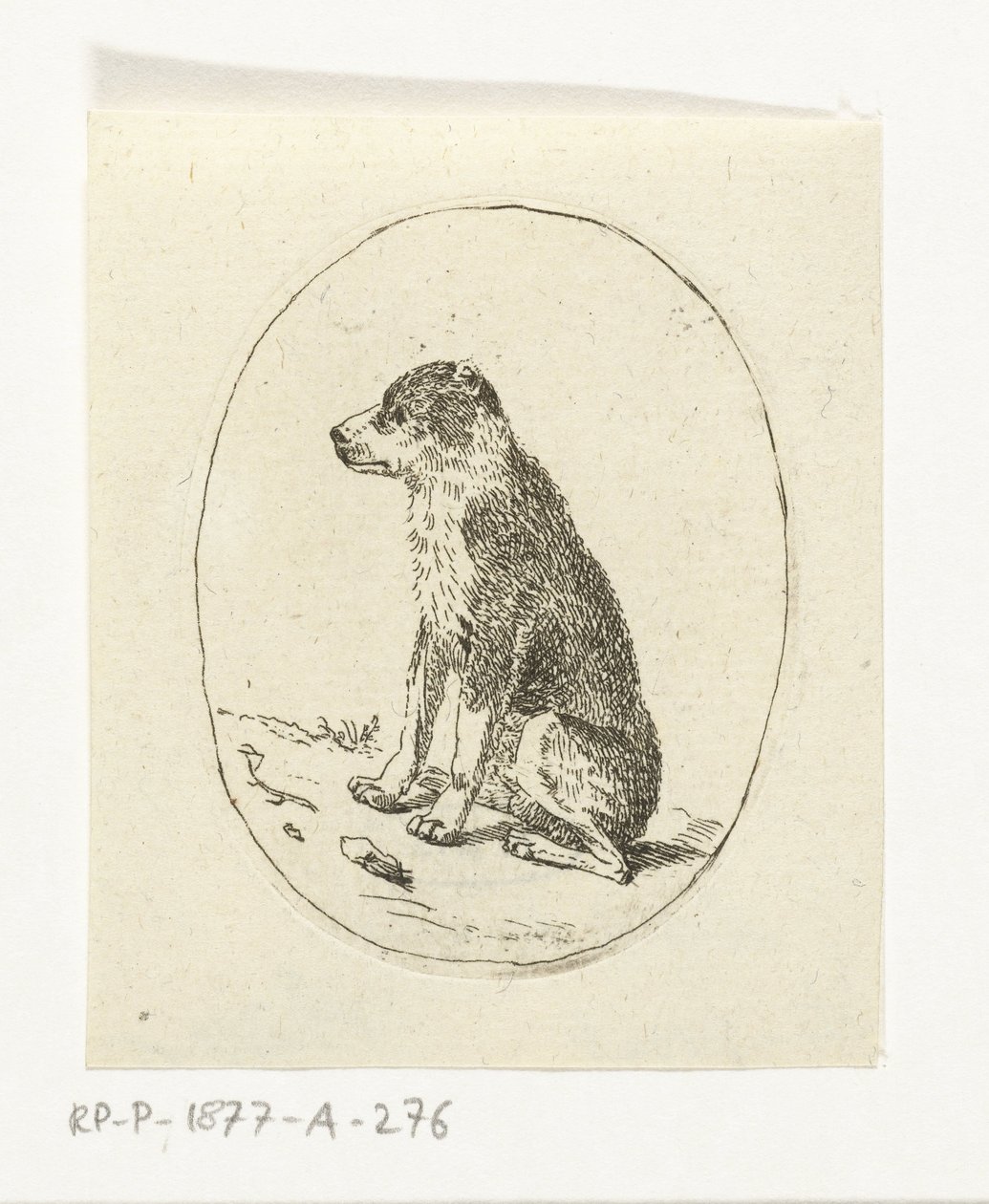 perro sentado de Anthonie van den Bos