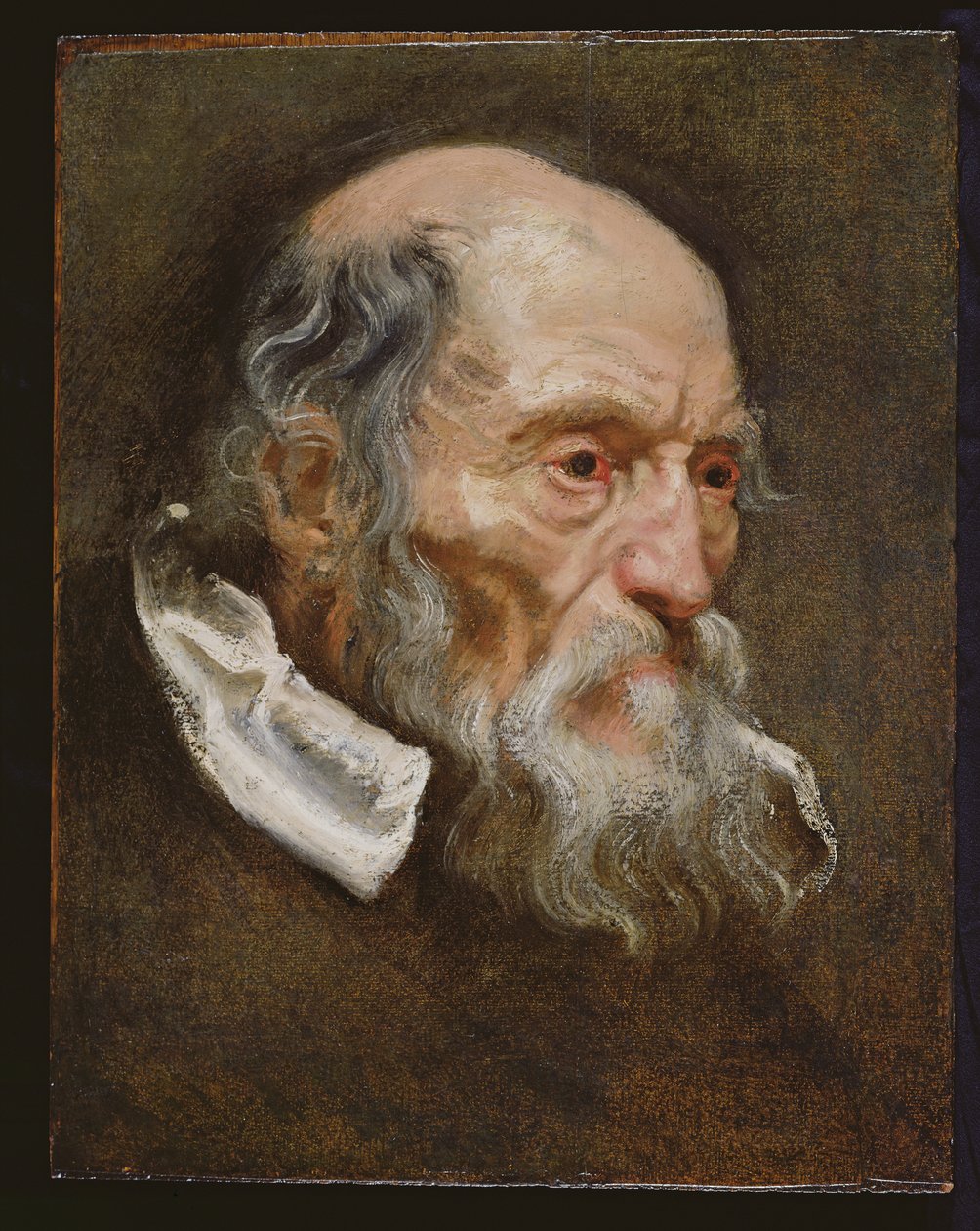 Retrato de un anciano de Anthony van Dyck