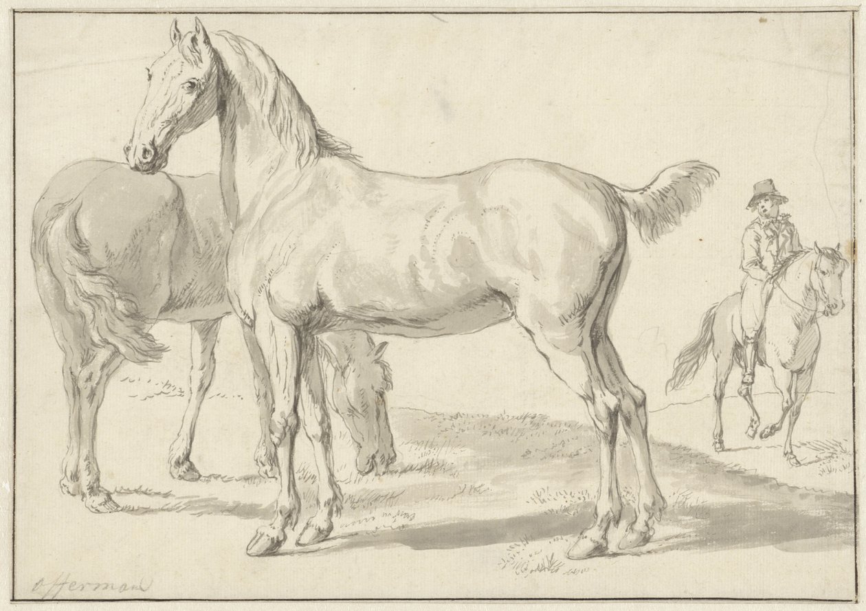 Dos caballos en un prado, un jinete a la derecha de Anthony Jacobus Offermans
