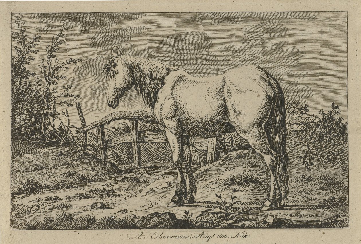 caballo de pie Estudios de vacas, ovejas y cabras (título de la serie) de Anthony Oberman