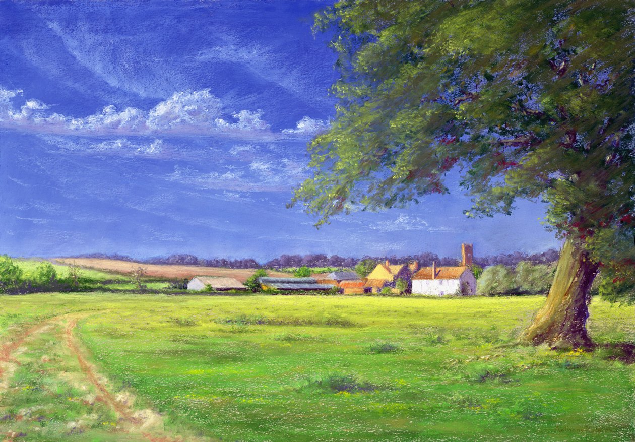 Campo de casa de Anthony Rule