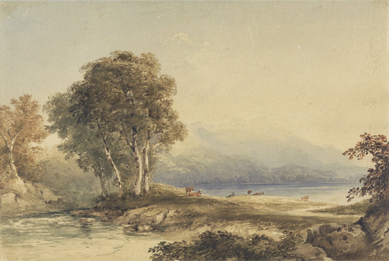 Paisaje montañoso con lago y arroyo de Anthony Vandyke Copley Fielding