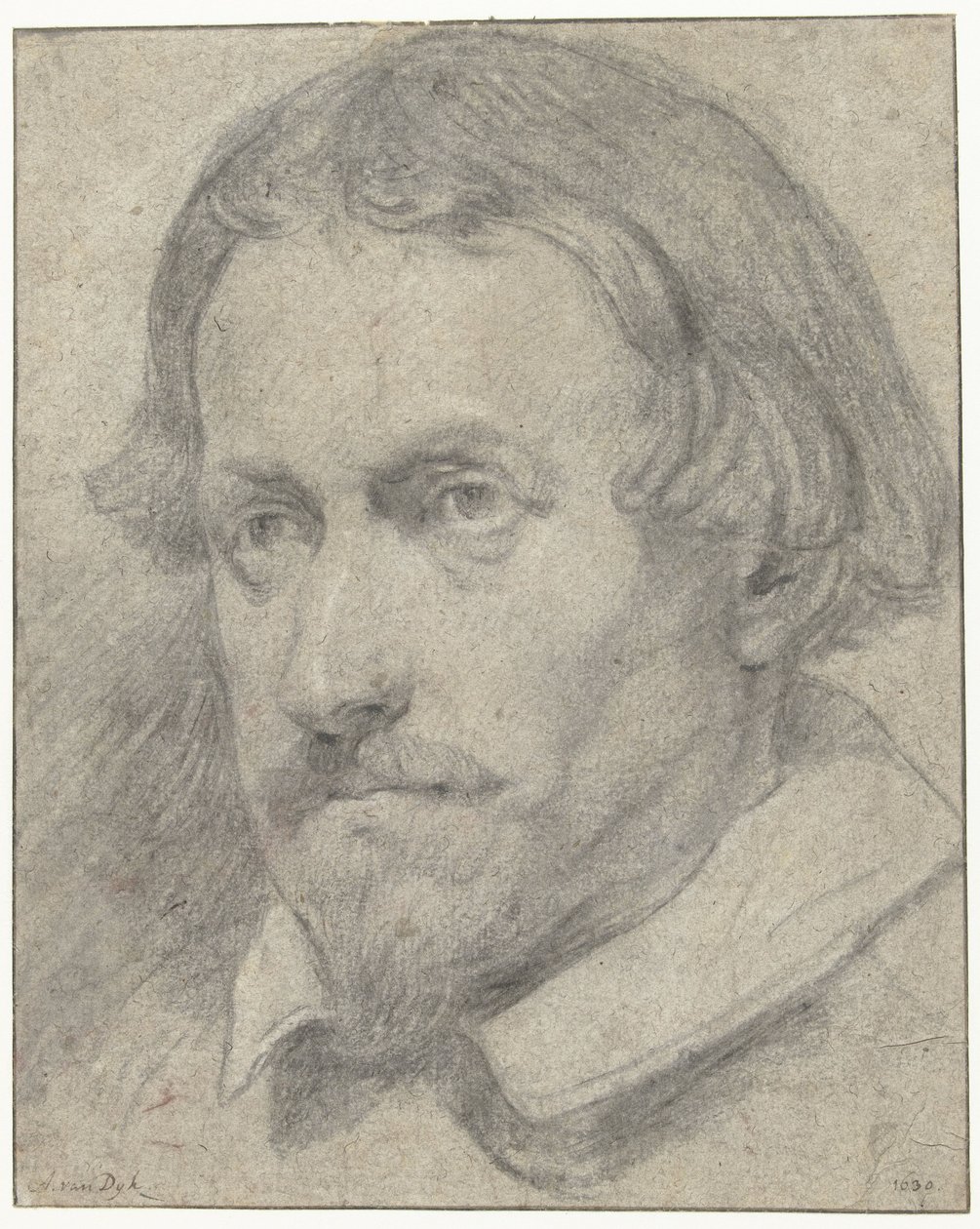 Manskop de Anthony van Dyck (possibly)