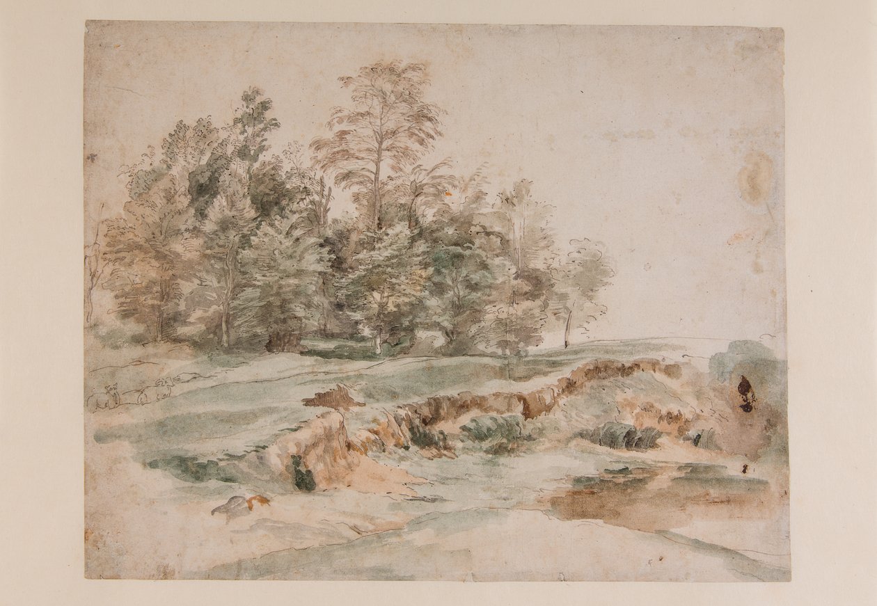 Grupo de árboles junto a un camino boscoso de Anthony van Dyck