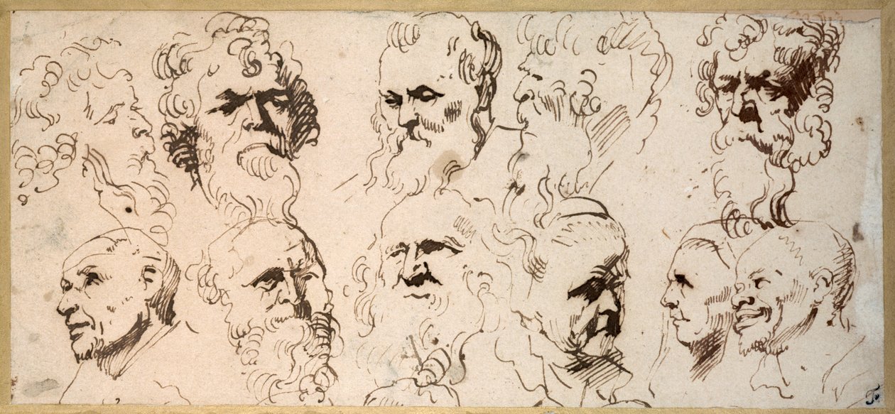 Once estudios de cabezas de Anthony van Dyck