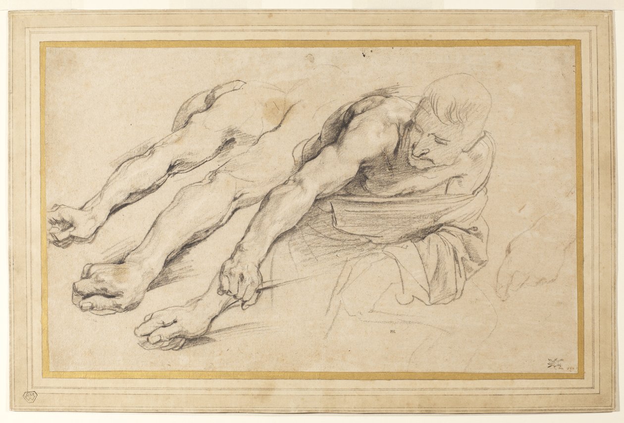 Figura de un hombre inclinándose hacia adelante con el brazo derecho extendido; tres estudios del brazo derecho y uno de la mano izquierda para la misma figura de Anthony van Dyck