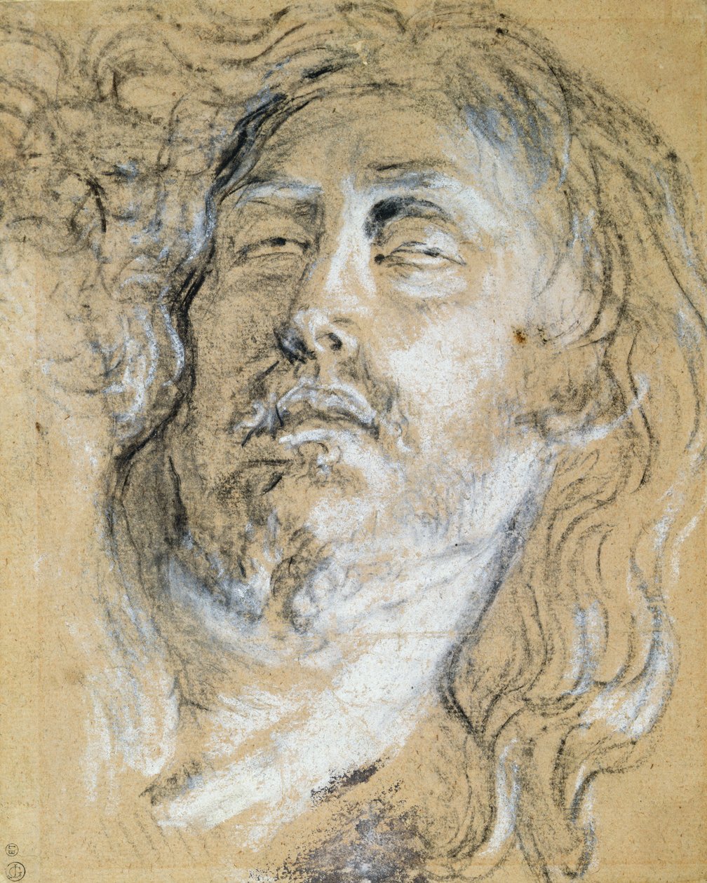 Cabeza de Cristo muerto de Anthony van Dyck