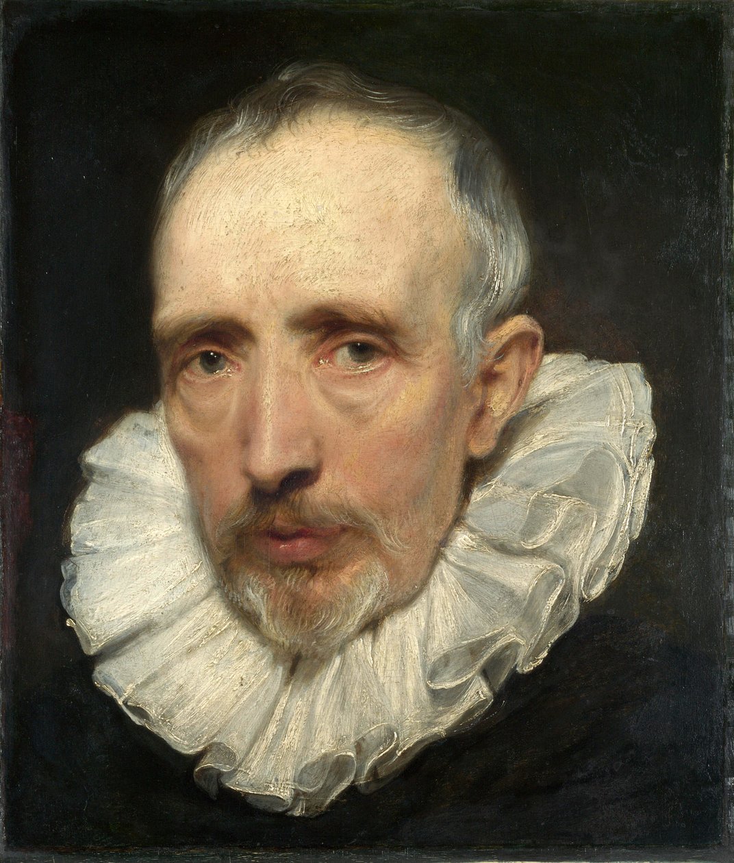 Retrato de Cornelis van der Geest de Anthony van Dyck