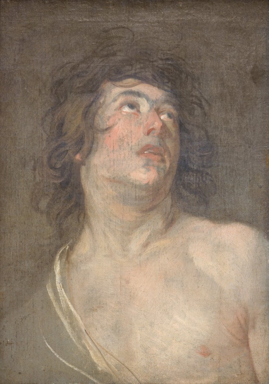 Cabeza de estudio de un joven mirando hacia arriba. San Sebastián de Anthony van Dyck