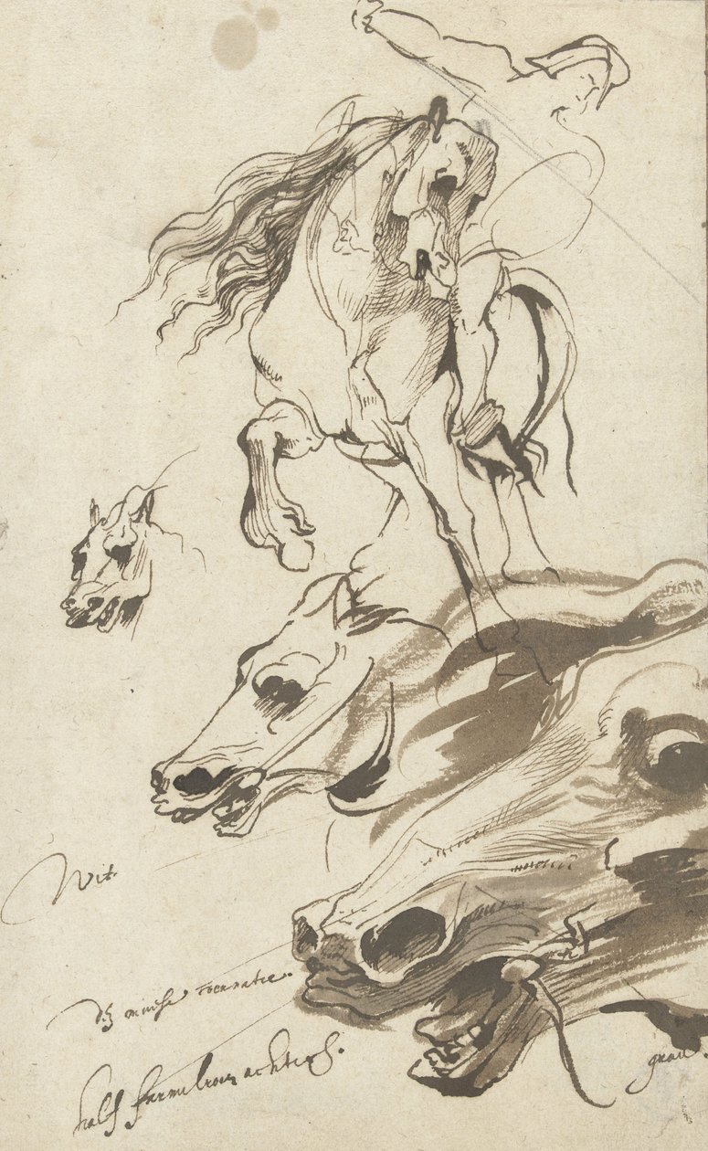 Estudio de jinete y cabeza de un caballo, 1620-1 de Anthony van Dyck
