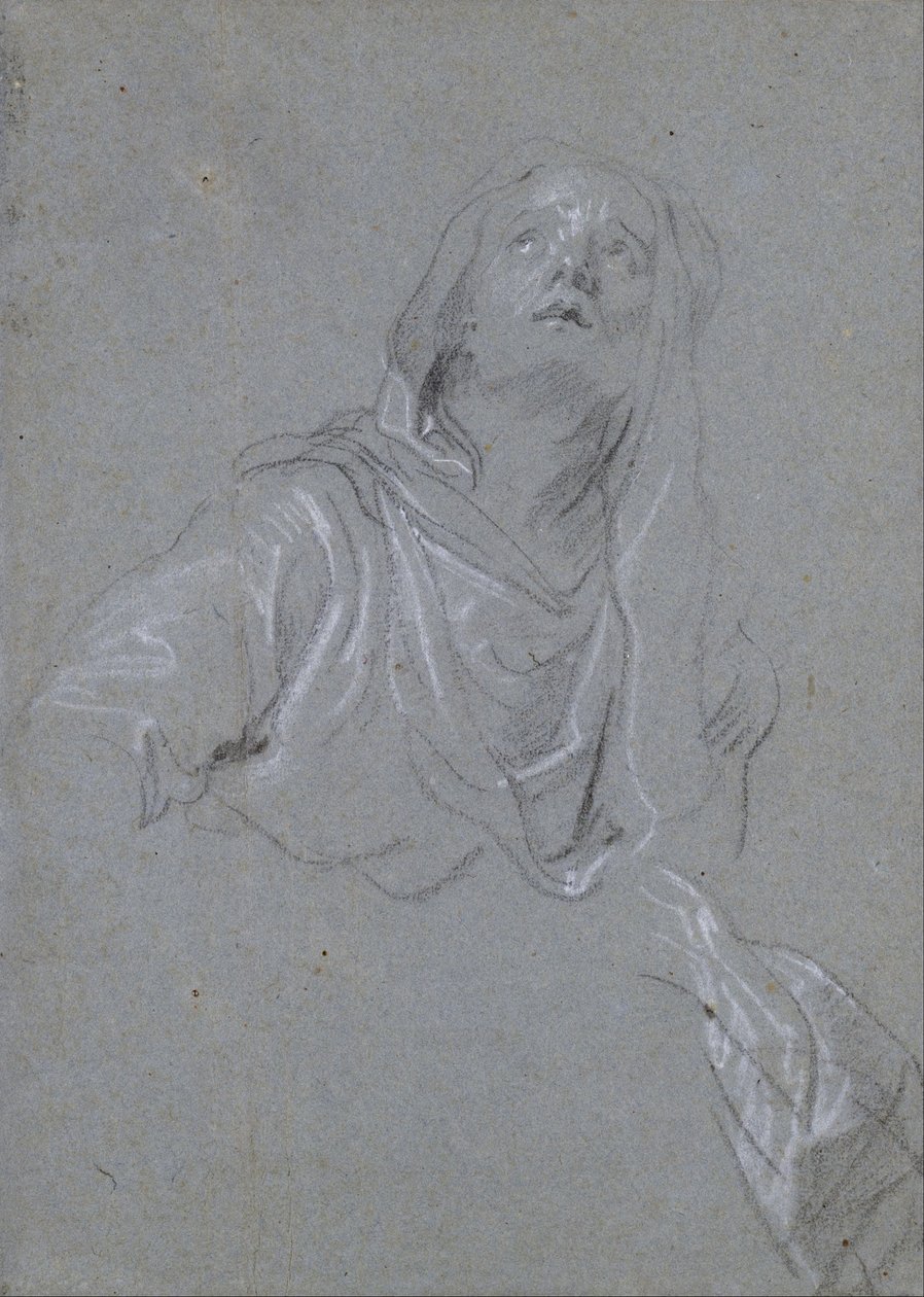 Estudio de una Madonna mirando hacia arriba de Anthony van Dyck