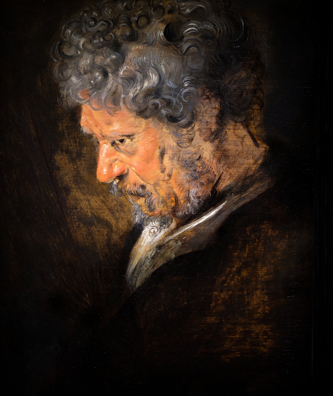Estudio de la cabeza de un anciano: perfil izquierdo (detalle) de Anthony van Dyck