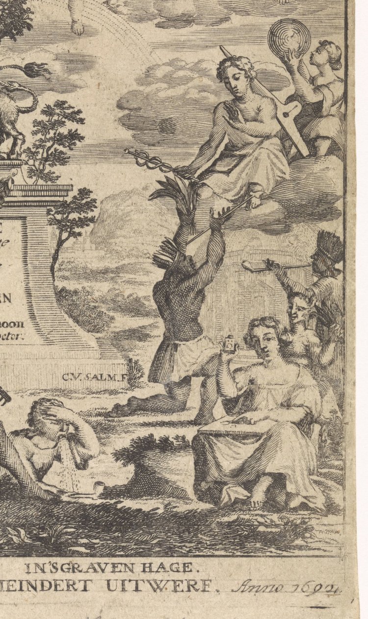 Alegoría de la Botánica Página de título para: Theodorus Schoon, True Exercise and Analysis of Plants, 1692 de Anthony van Zijlvelt