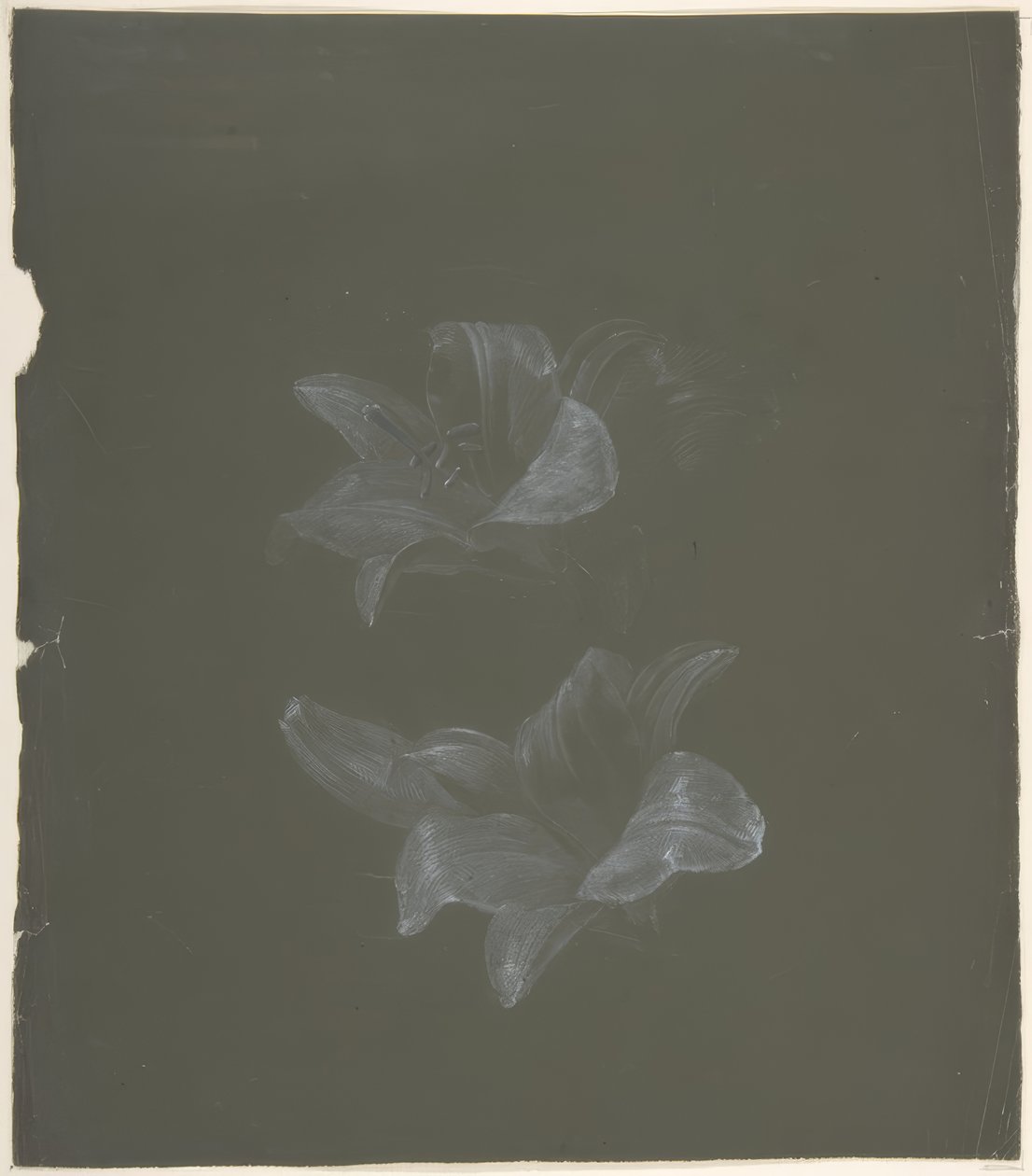 Diseño floral de Antoine Berjon