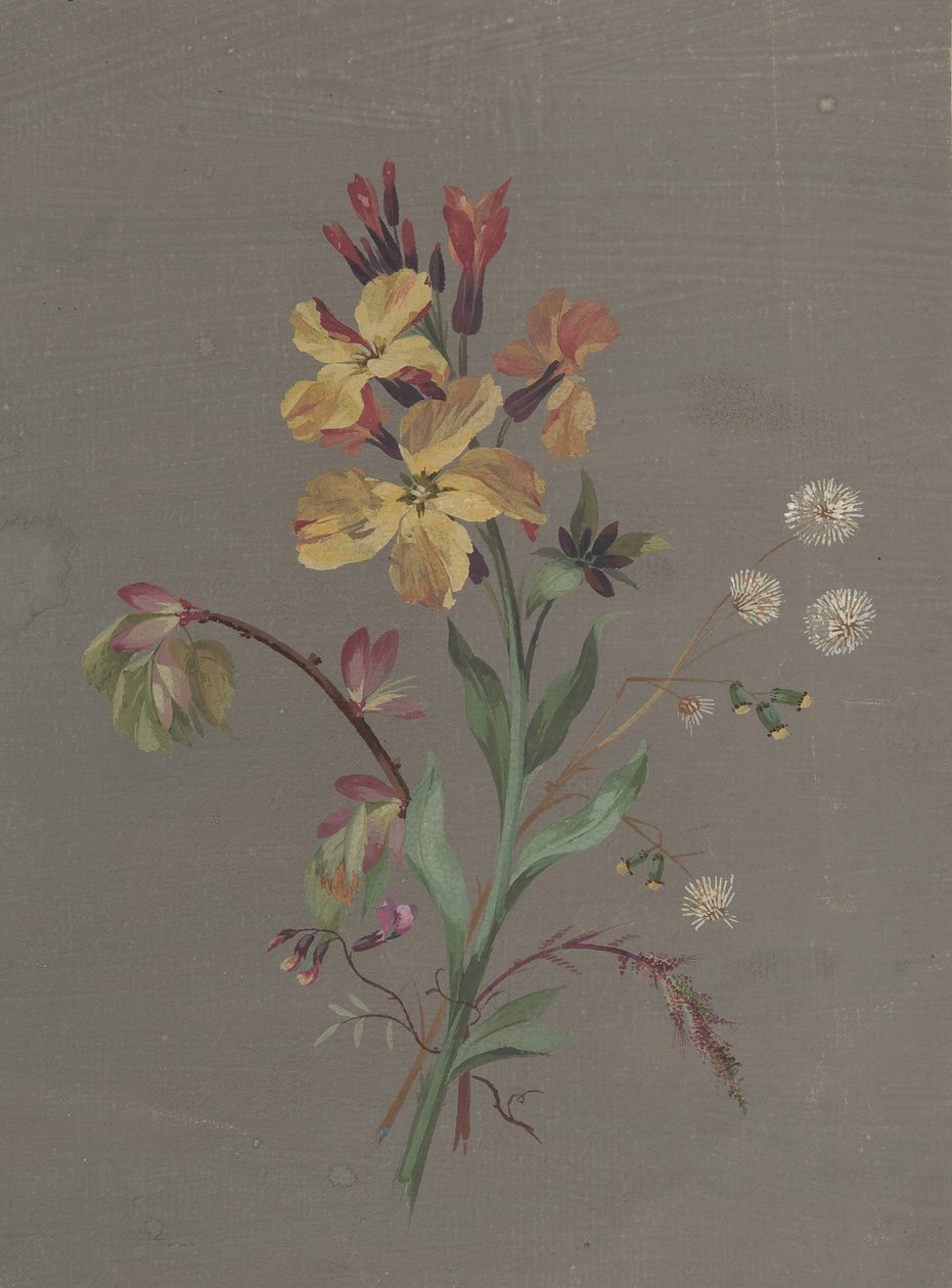 Diseño floral, ca. 1820 de Antoine Berjon