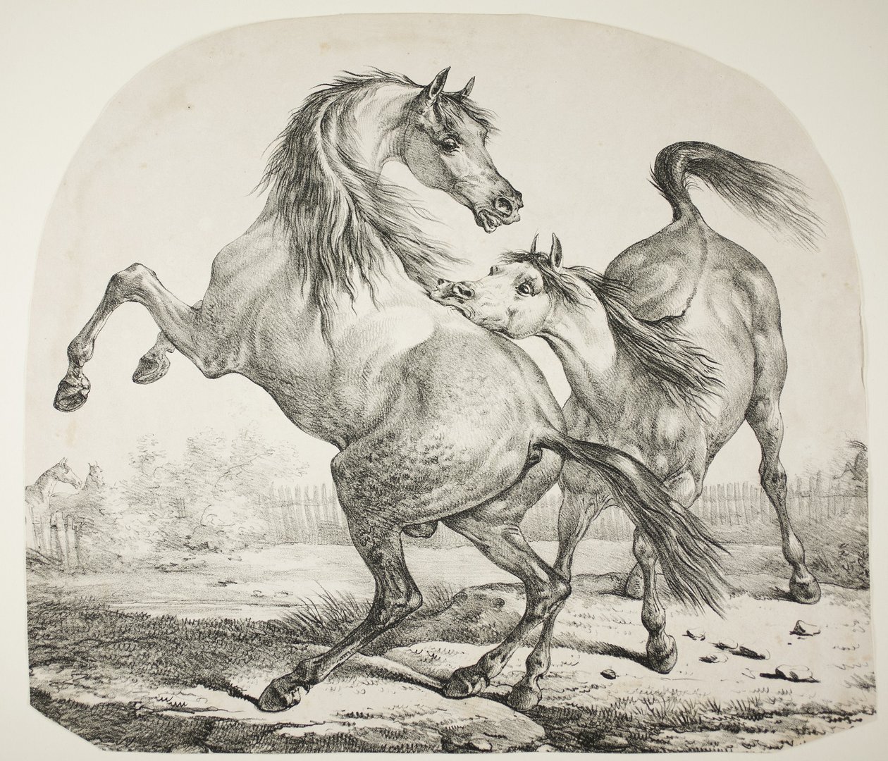 Caballos salvajes luchando, c.1820 de Antoine Charles Horace Vernet