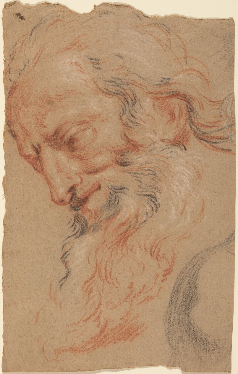 Cabeza de un anciano de Antoine Coypel