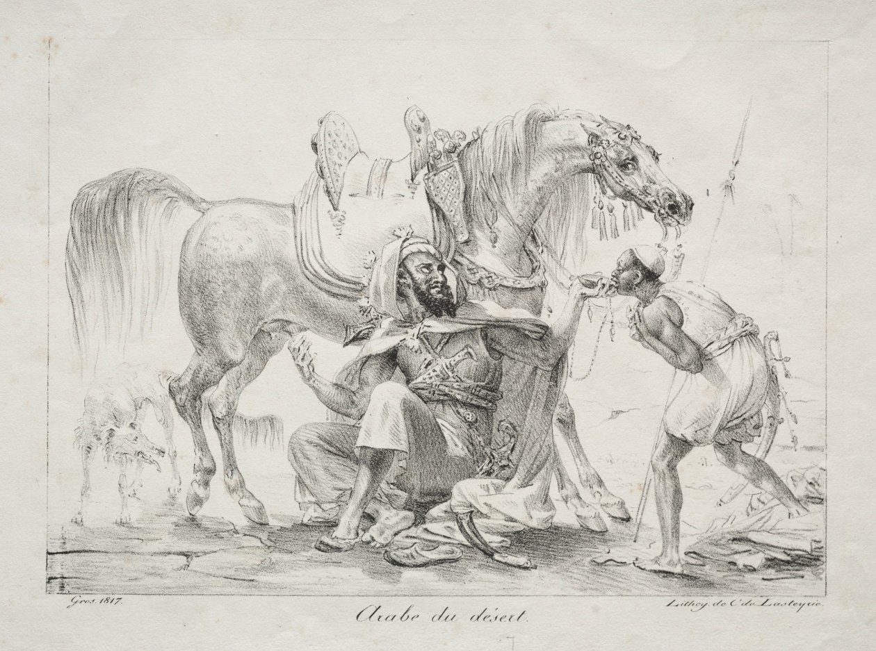 Árabe del desierto, 1817 de Antoine Jean Gros