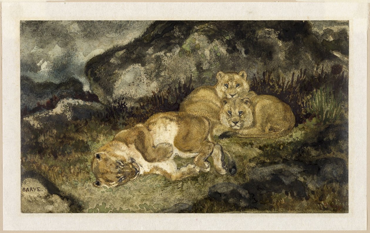 Leona y cachorros, c.1832 (acuarela y grafito, sobre papel marfil) de Antoine Louis Barye