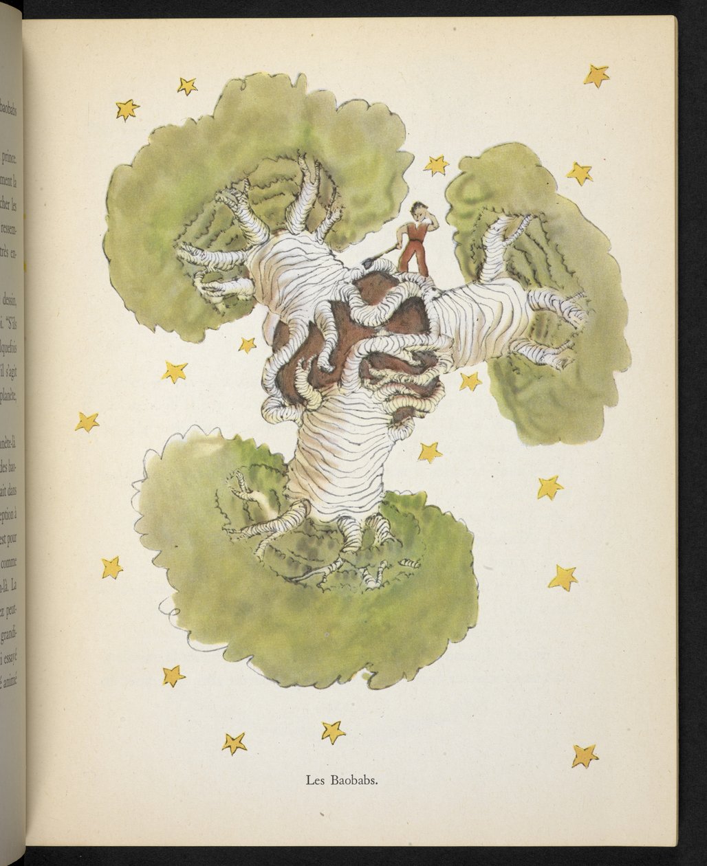 Los baobabs, ilustración de "Le Petit Prince", de Antoine de Saint-Exupéry de Antoine de Saint Exupery