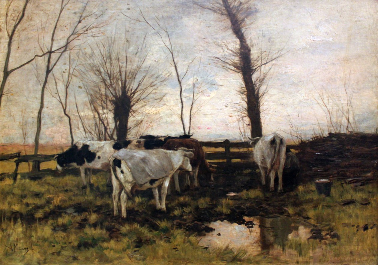 Vacas en el pasto de Anton Mauve