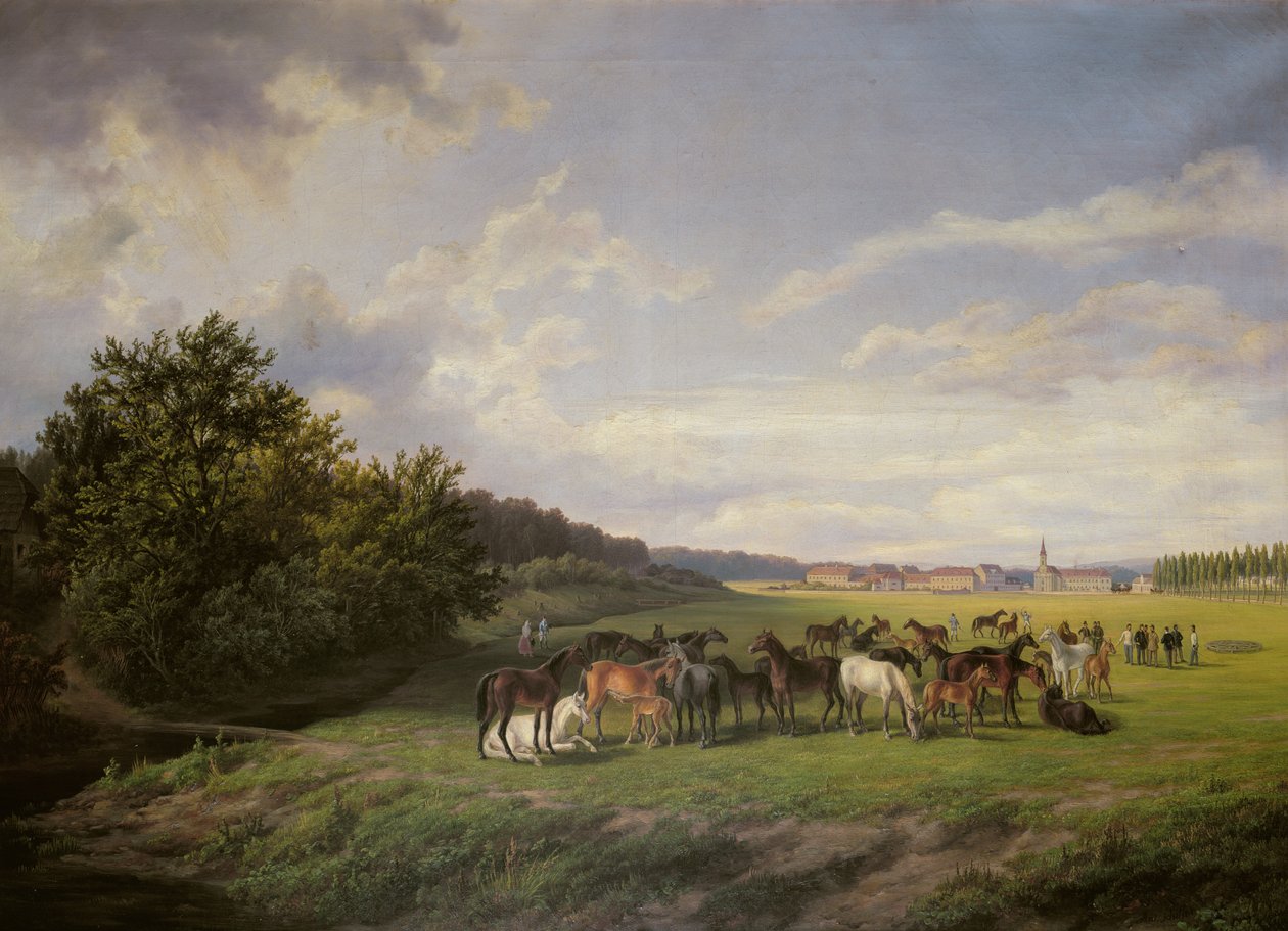 Vista del Criadero de Kladrub en Bohemia, 1850 de Anton Schiffer