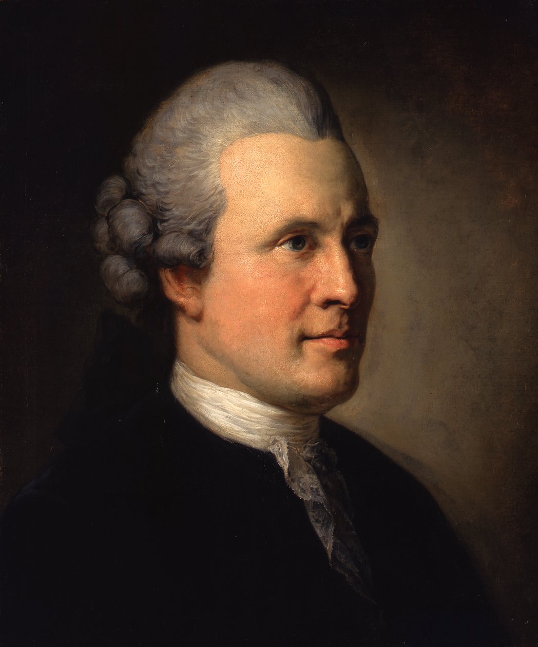 El médico y filósofo Johann Georg, caballero de Zimmermann de Anton Graff