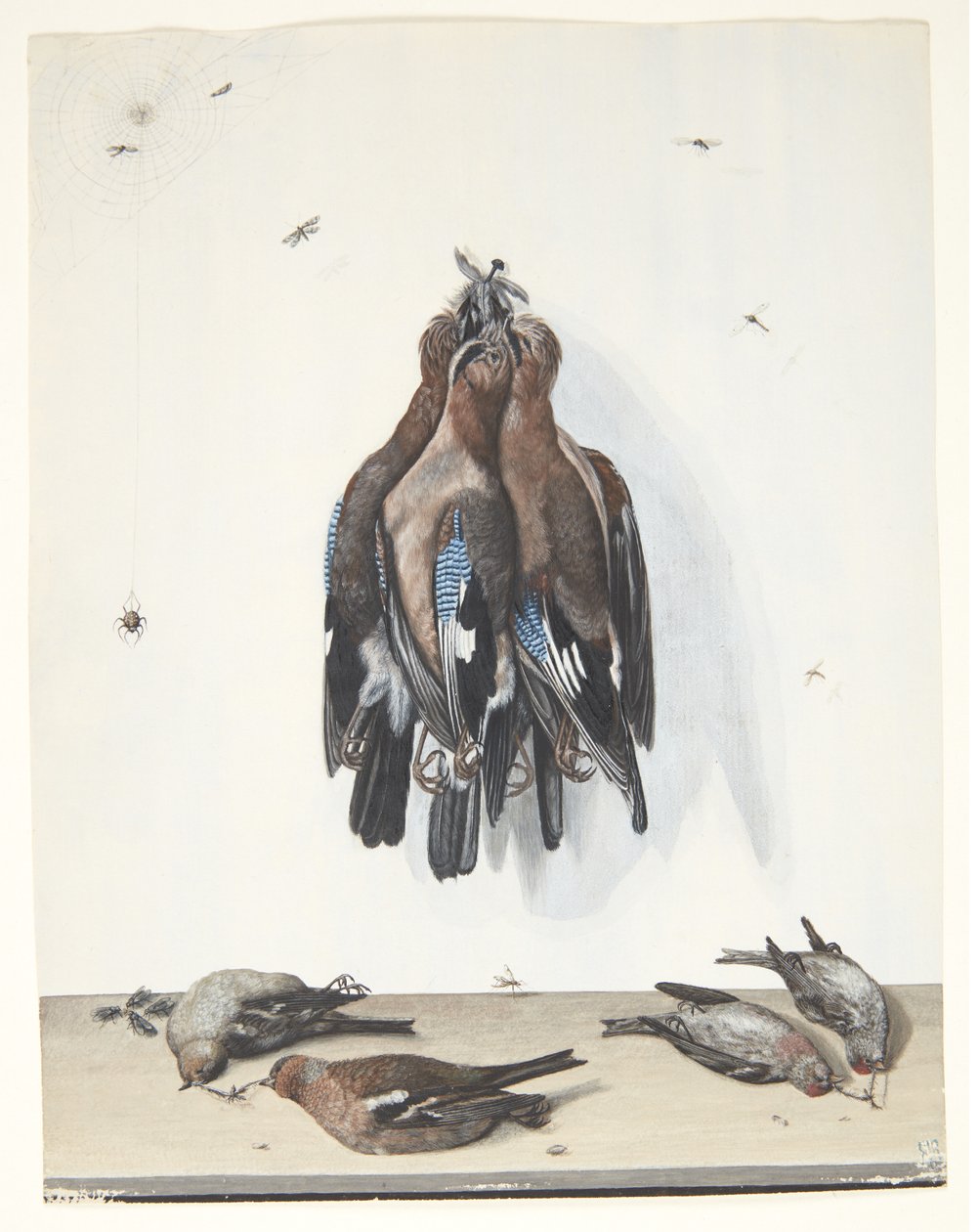 Naturaleza muerta con pájaros de Anton Ignaz Hamilton