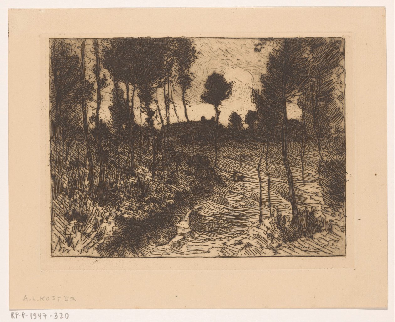 Carretera forestal de noche de Anton L. Koster