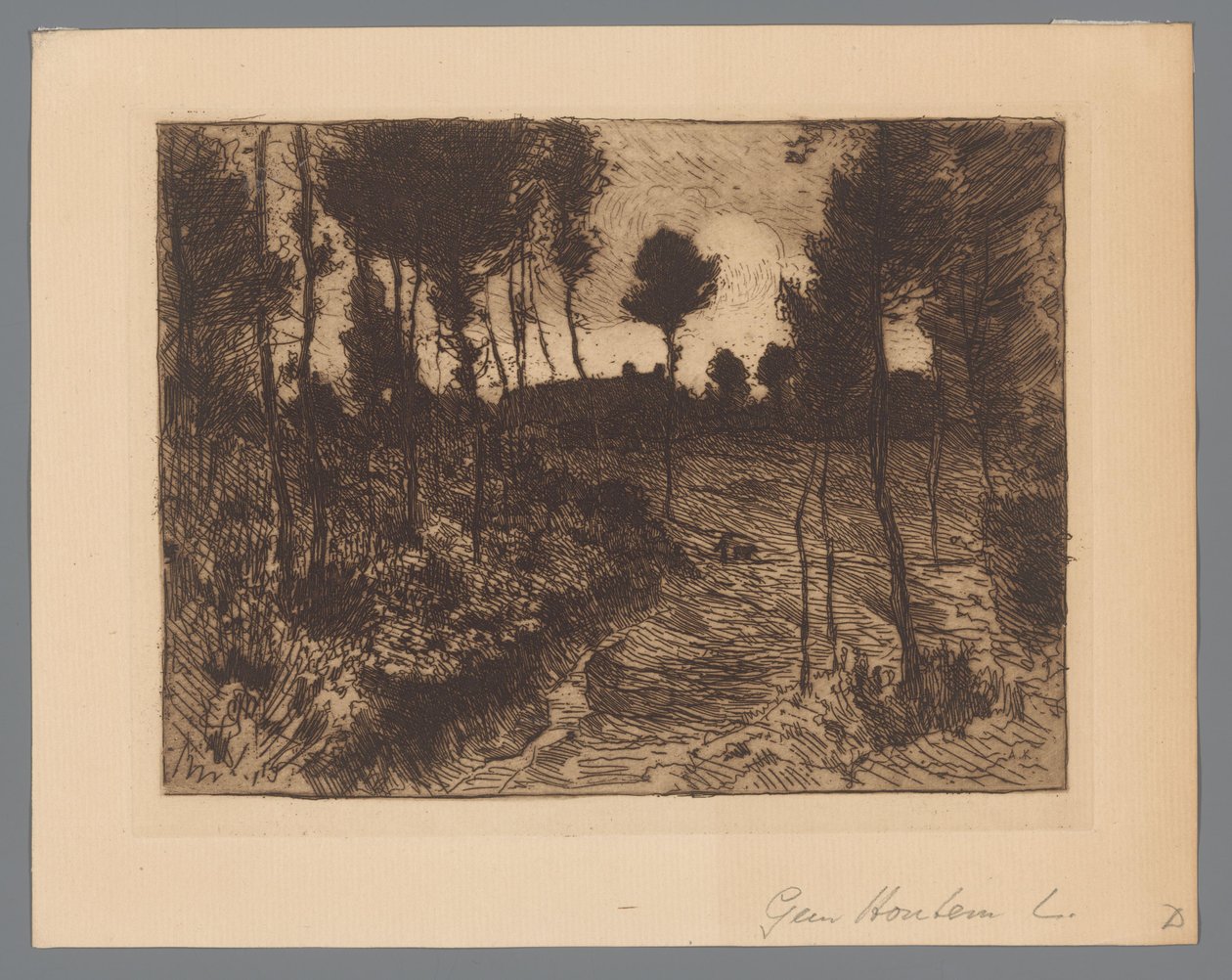 Carretera forestal de noche de Anton L. Koster