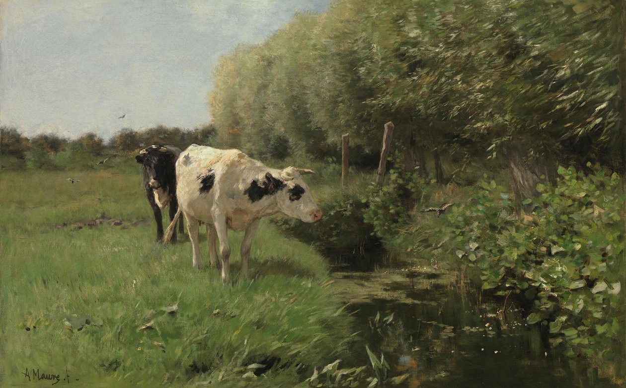 Vacas en el prado de Anton Mauve