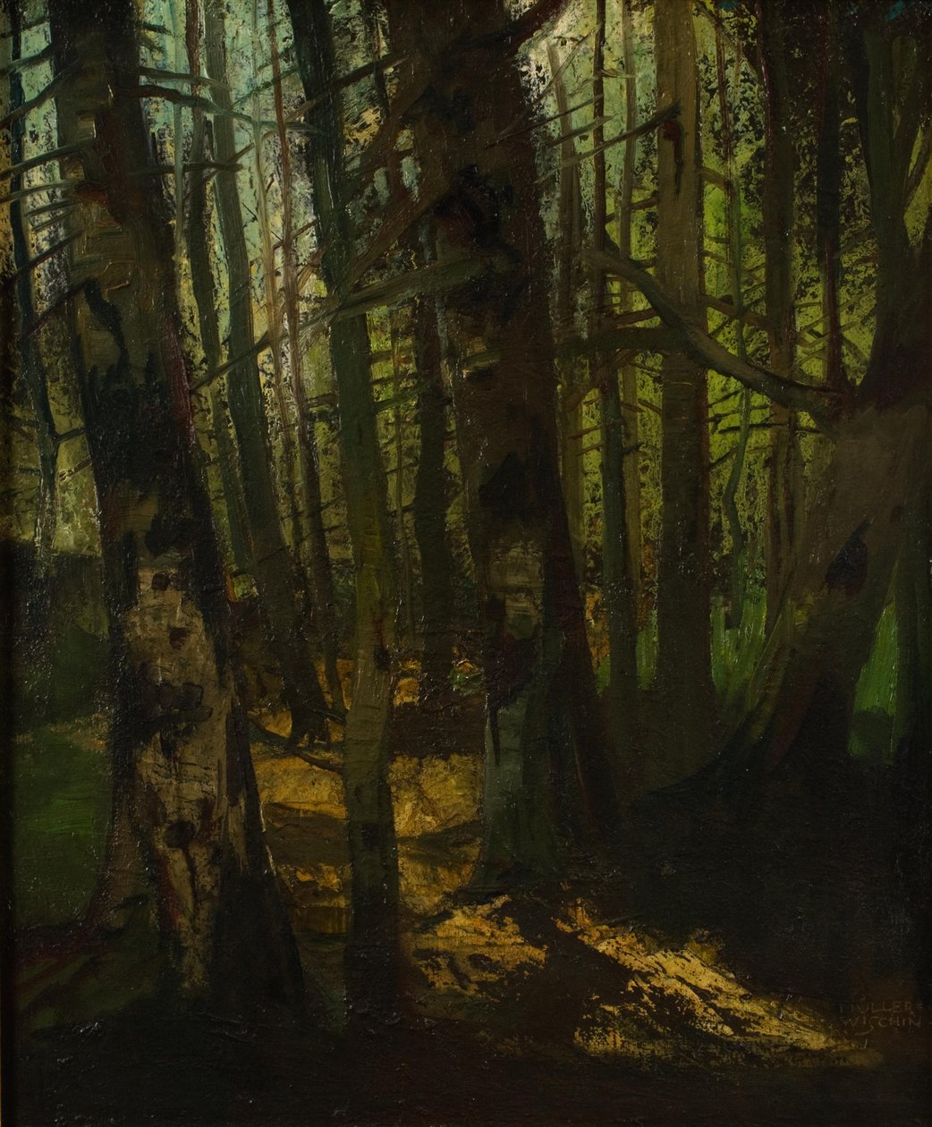 Limpieza de bosques de Anton Müller Wischin
