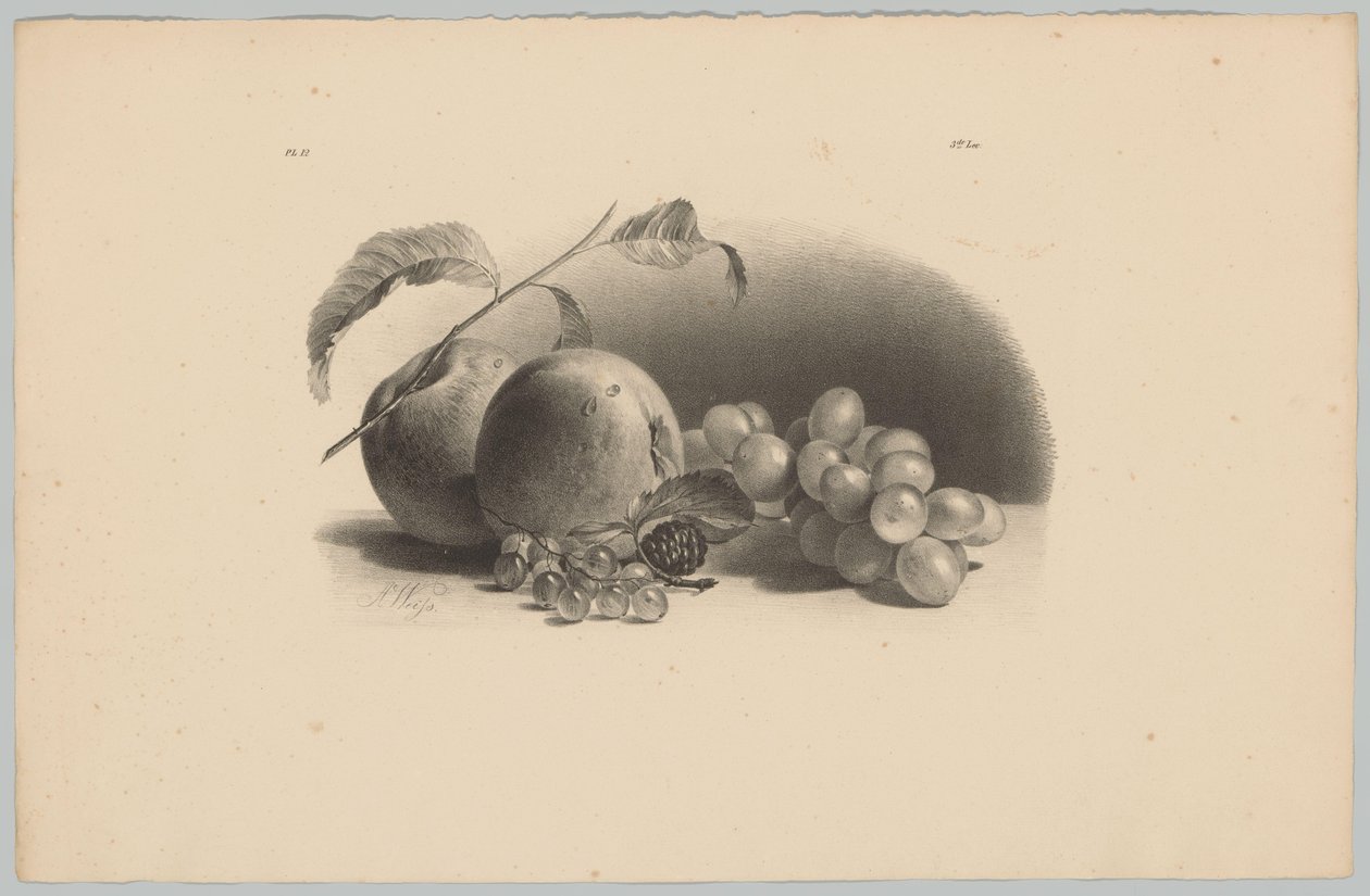 Manzanas, bayas, moras y uvas
Estudios sobre flores y frutas (...) 3ª entrega (título de la serie) de Anton Weiss