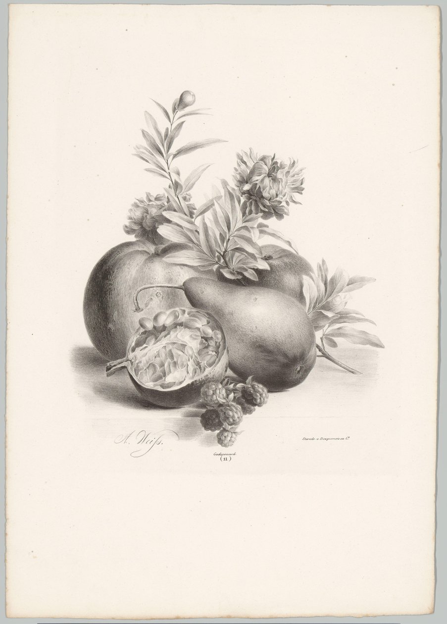 Flores, manzanas, peras, granadas y moras Estudios de flores y frutas (...) Décimo episodio (título de la serie) de Anton Weiss