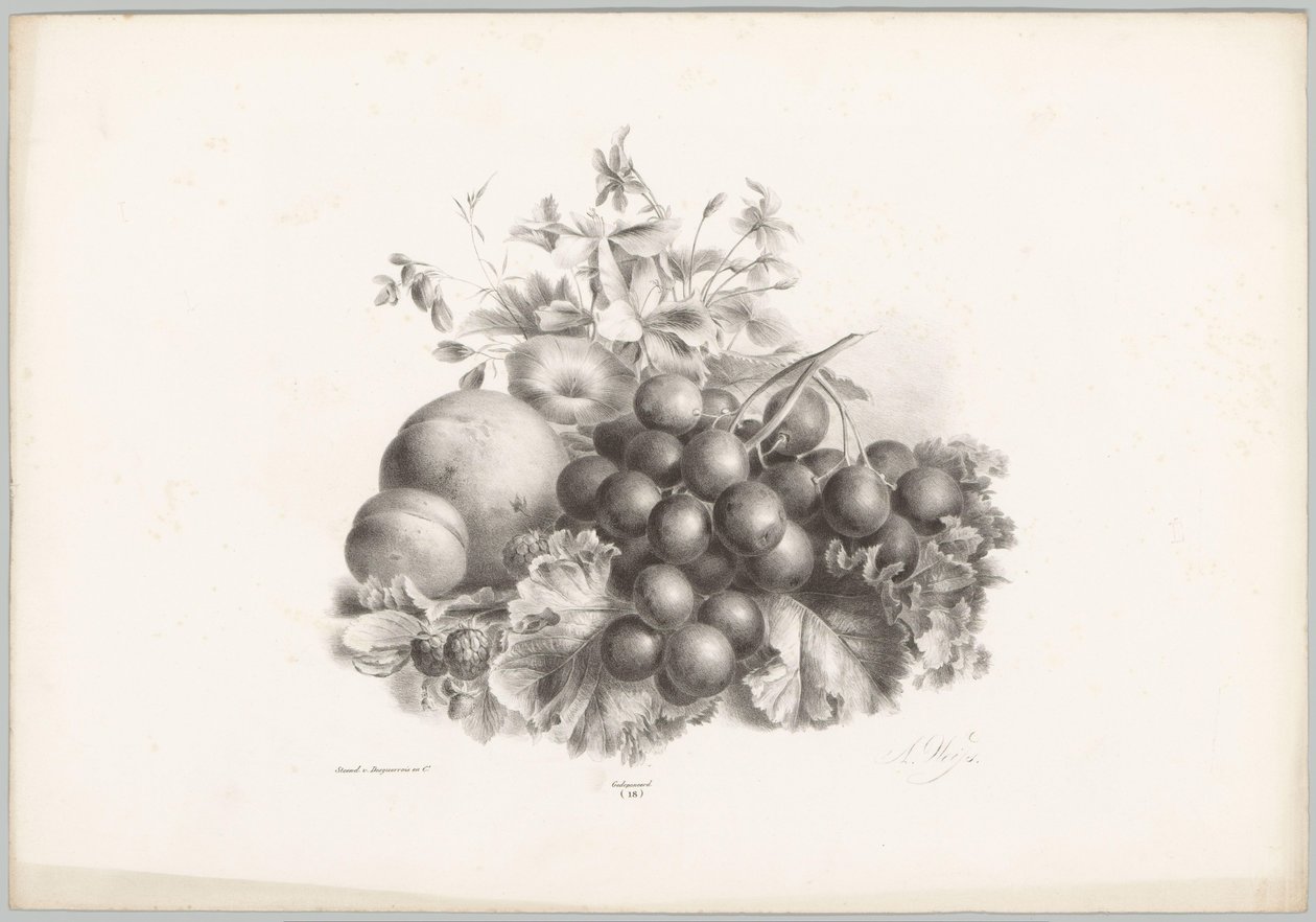 Flores, melocotón, nectarina, uvas y moras Estudios de flores y frutas (...) Décimo episodio (título de la serie) de Anton Weiss