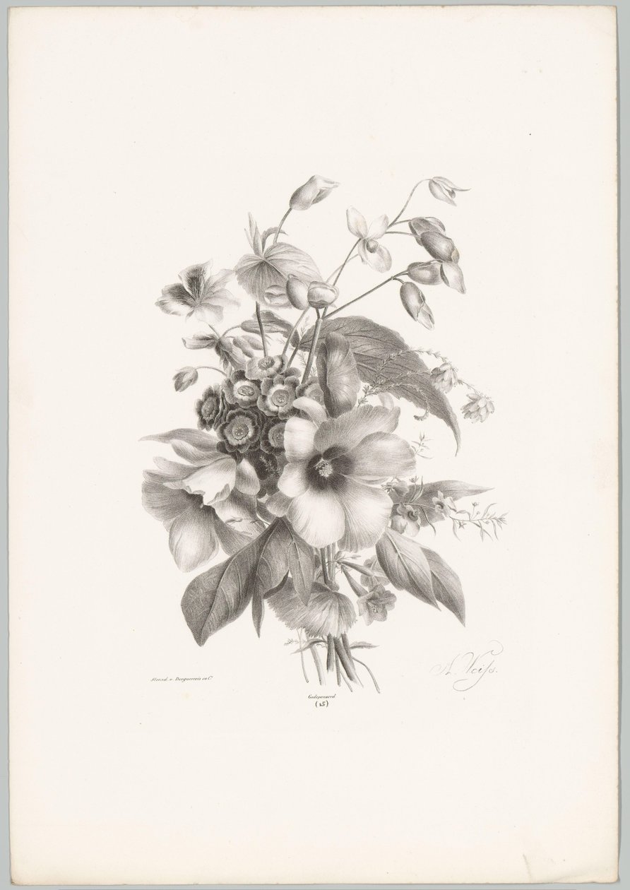 Varias flores Estudios de flores y frutas (...) Décimo episodio (título de la serie) de Anton Weiss