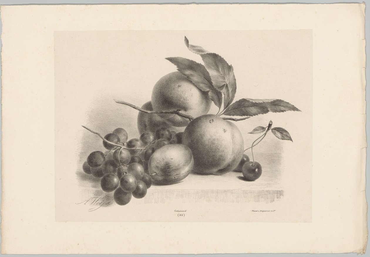 Uvas, ciruelas, melocotones y cerezas Estudios de flores y frutas (...) Décimo episodio (título de la serie) de Anton Weiss