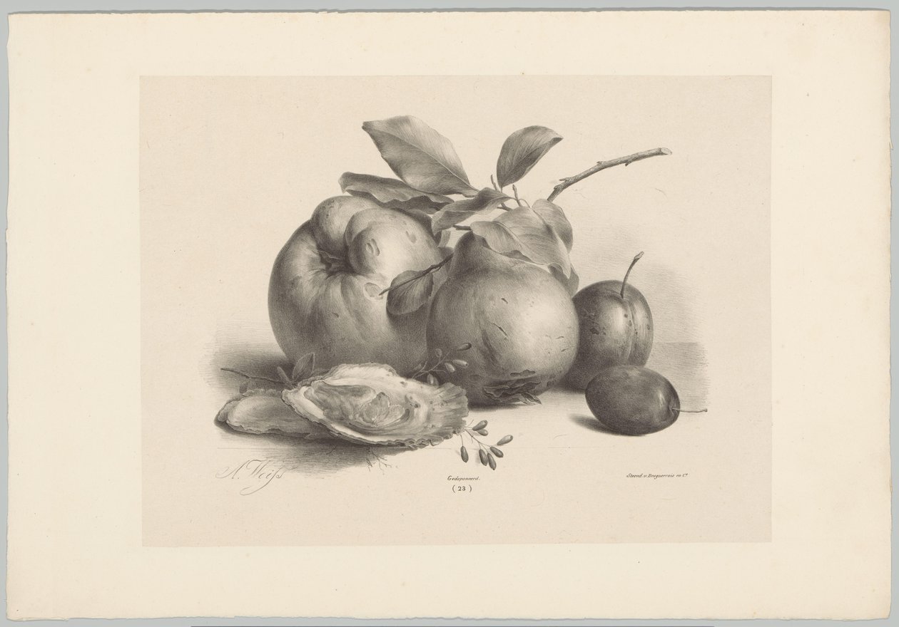 Frutas, ciruelas y ostras Estudios de flores y frutas (...) Décimo episodio (título de la serie) de Anton Weiss