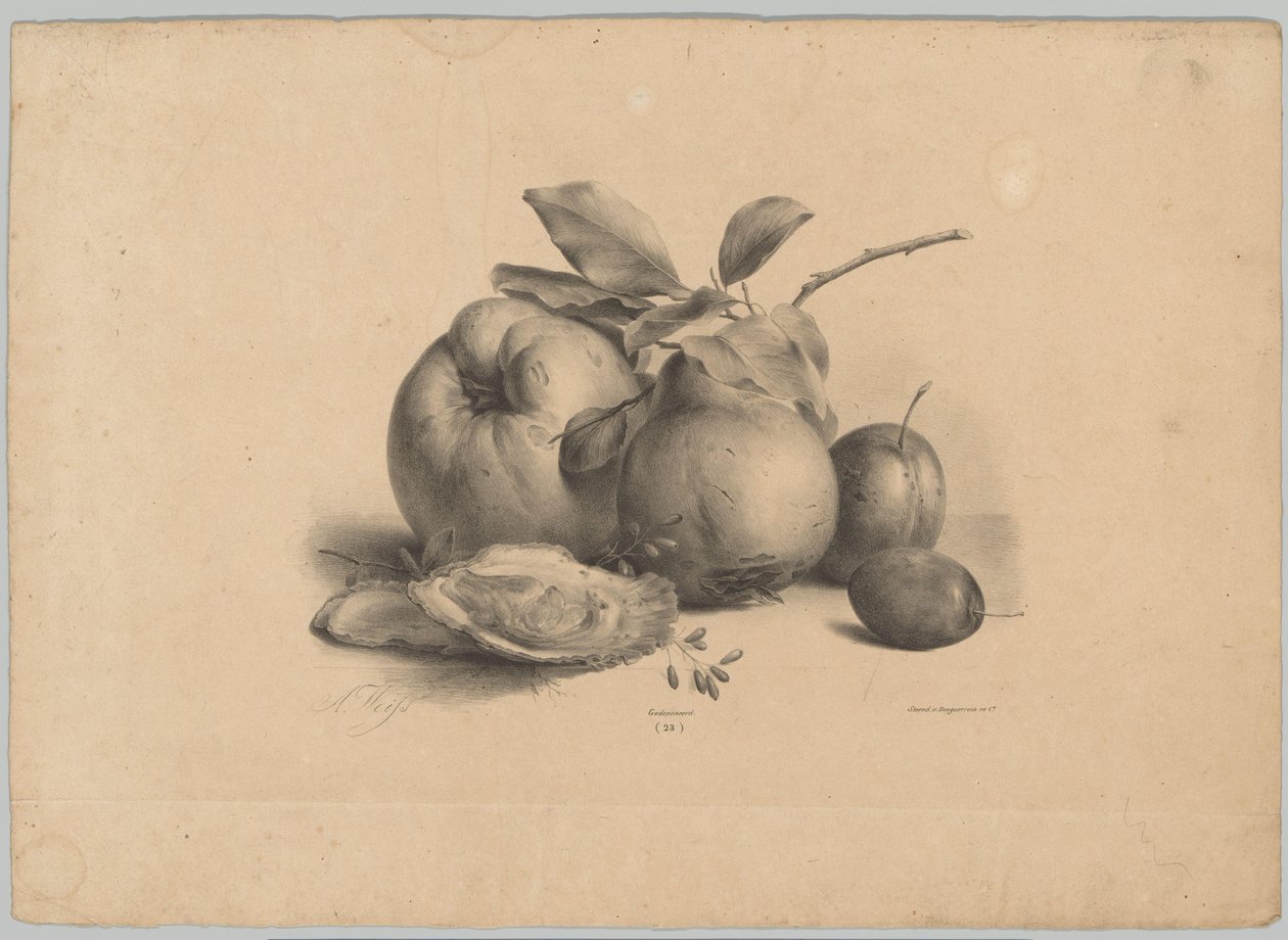 Fruta, ciruelas y ostras
Flower and Fruit Studien (...) 10º episodio (título de la serie) de Anton Weiss