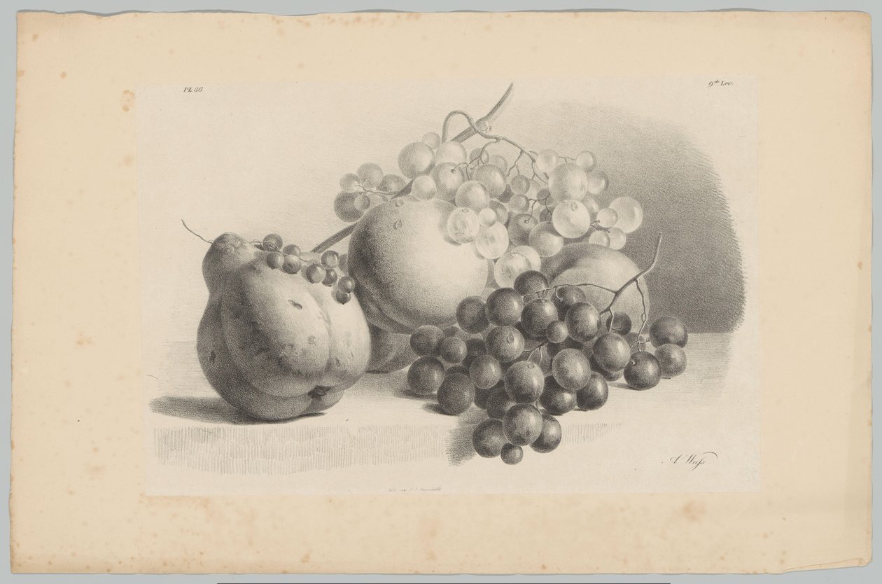 Calabaza, bayas, uvas y melocotones
Estudios sobre flores y frutas (...) 3ª entrega (título de la serie) de Anton Weiss