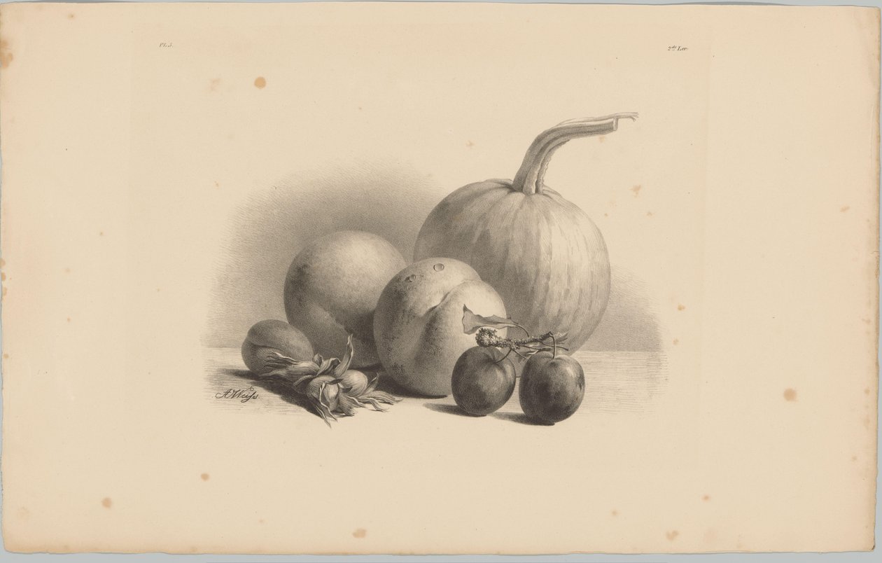 Calabaza, melocotones, albaricoques, ciruelas y avellanas
Estudios de flores y frutas (...) 3er episodio (título de la serie) de Anton Weiss
