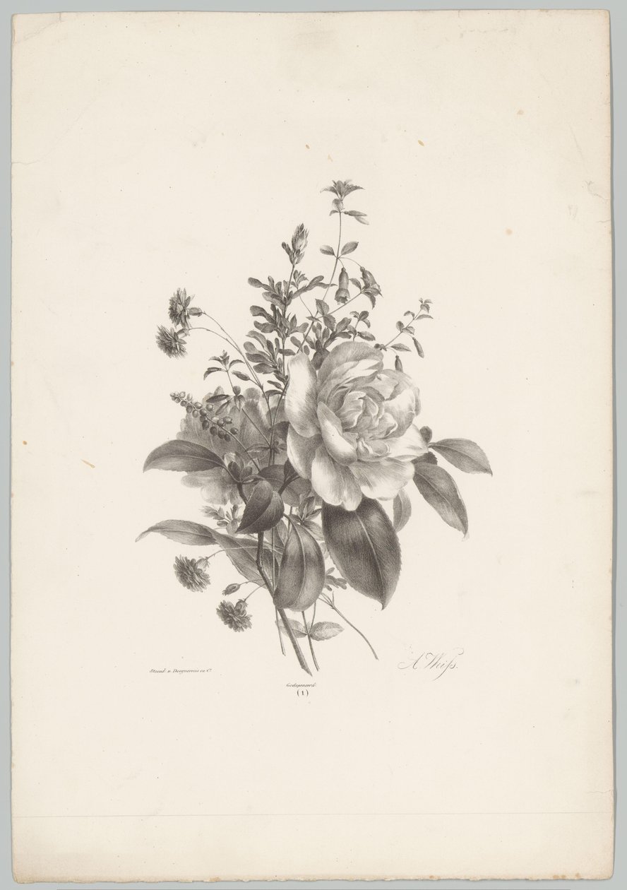 Rosas, claveles y fucsias Estudios de flores y frutas (...) Décimo episodio (título de la serie) de Anton Weiss