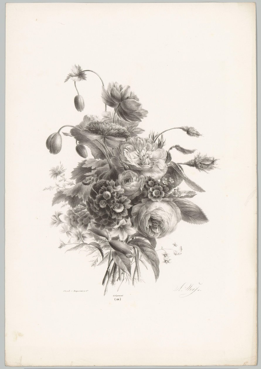 rosas y otras flores Estudios de flores y frutas (...) Décimo episodio (título de la serie) de Anton Weiss