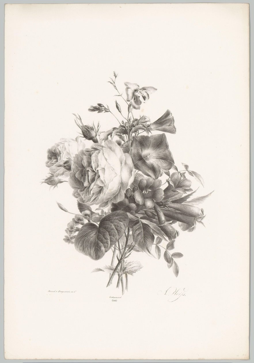 Rosas y flores en forma de cáliz Estudios de flores y frutas (...) Décimo episodio (título de la serie) de Anton Weiss