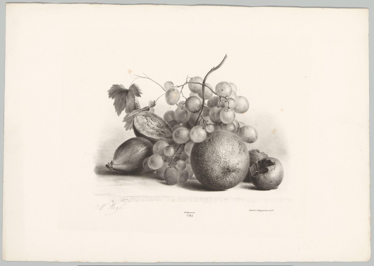 Higos, uvas y naranja Estudios de flores y frutas (...) Décimo episodio (título de la serie) de Anton Weiss
